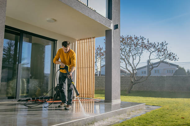 Best Roof Washing  in Forest, MS